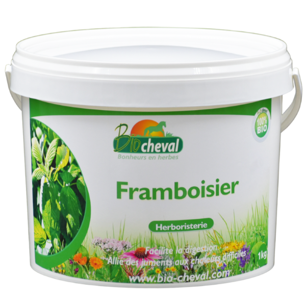 Framboisier - Bio - Chaleurs & diarrhées - 1kg