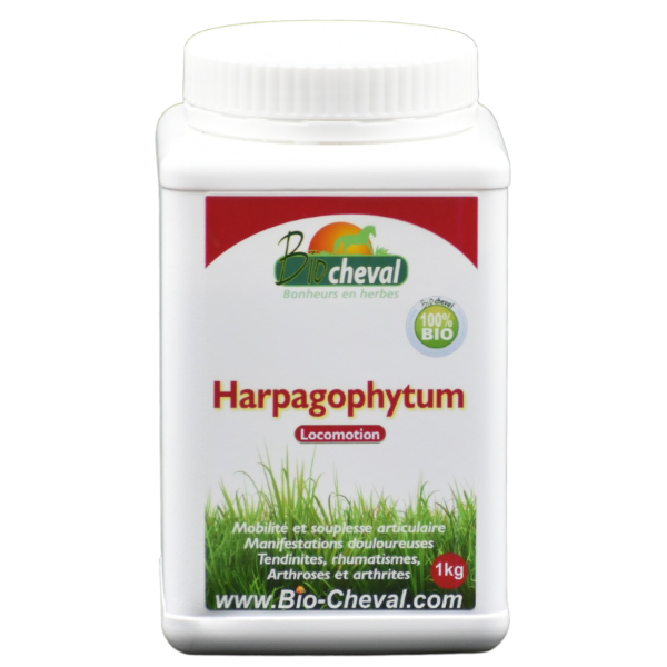 Ergyvet Artibiol - Harpagophytum, confort articulaire pour le cheval -  Ergyvet
