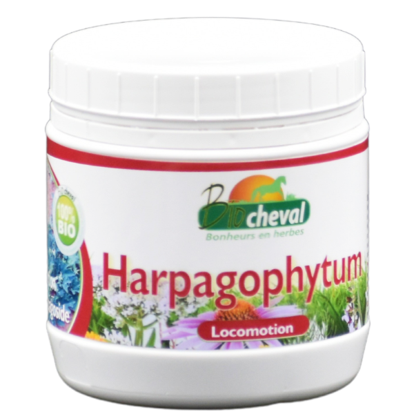 Harpagophytum - Bio - Confort locomoteur
